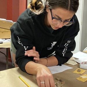 Person looking down, sorting material, with their cat assistant assisting.